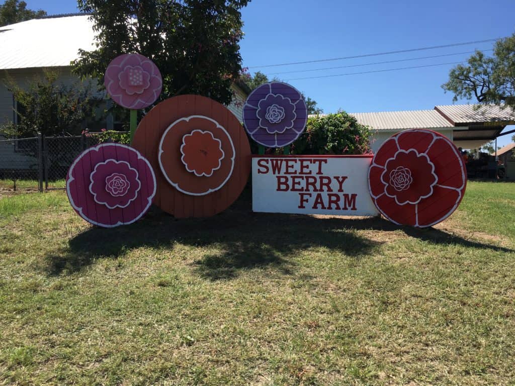 Image of Sweet Berry Farm sign. Texas Fall Festival located near Willow Point Lake Resort