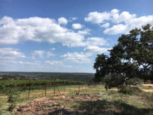 Image of Torr Na Lochs vineyard located in the heart of the Texas Hill Country. A short drive from our family friendly lake resort