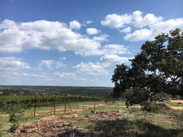Image of Torr Na Lochs vineyard located in the Texas Hill Country and a short drive from our lake cabin rentals at Willow Point Resort