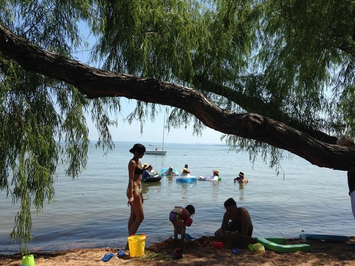 Image of guests under the Willow tree at our lakeside property on Lake Buchanan in the Texas Hill Country - Best lake cabins in Texas