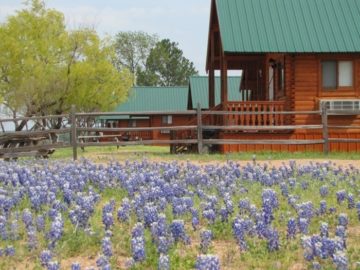 Image of our Hill Country Resort during Spring when the annual wildflowers bloom around our Hill Country cabin rentals