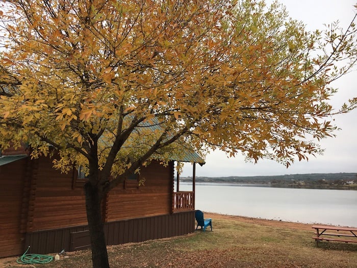Image of trees changing color on our texas lake cabin rental property