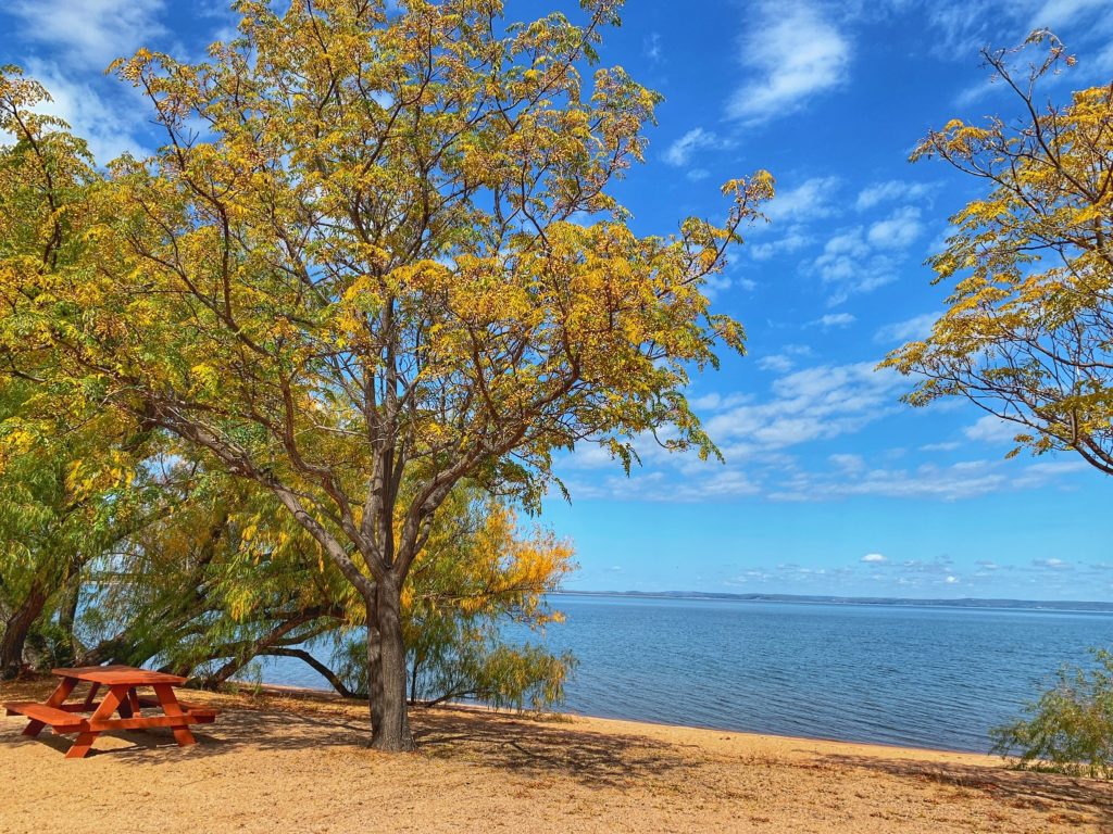 Image of the sandy beach and Lake Buchanan taken in front of one our cabins. 
